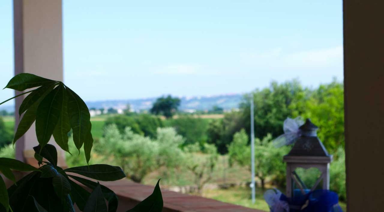 B&B Armonia Montecosaro  Eksteriør bilde